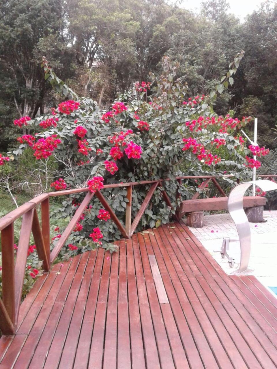 Chacara Recanto Vale Do Luar Piraquara Exterior foto